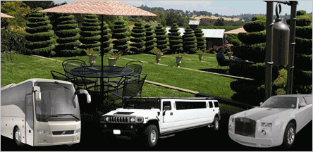 Amador County Wine Tours Concord Amador County Wine Tours Concord