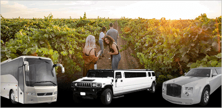 Clarksburg Wine Tours Limo Service Concord