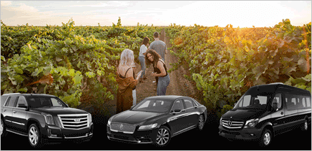 Concord Clarksburg Wine Tours Limo Service