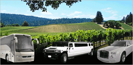 Concord El Dorado County Wine Tours Limo Service