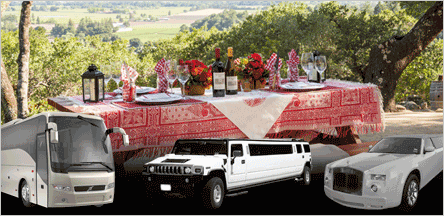 Concord Napa Valley Wine Tours Limo Service