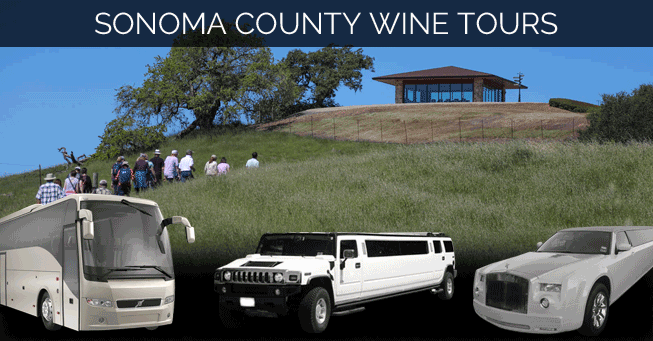 concord-sonoma-county-wine-tours