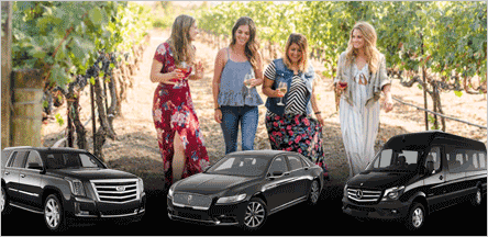 Livermore County Wine Tours Concord Livermore County Wine Tours Concord