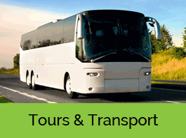 Tours & Transportation Concord